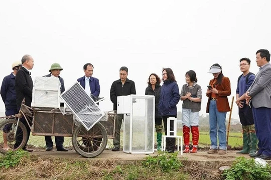 Ứng dụng trí tuệ nhân tạo để giảm phát&nbsp;thải khí nhà kính trong nông nghiệp