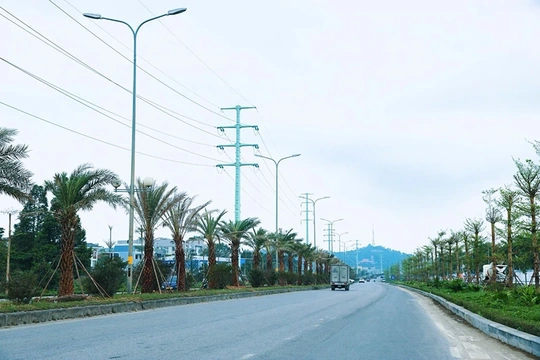 Chung tay vì một đô thị xanh