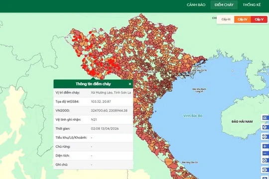 Nắng nóng gay gắt, cảnh báo nguy cơ cháy rừng tại nhiều khu vực trên cả nước