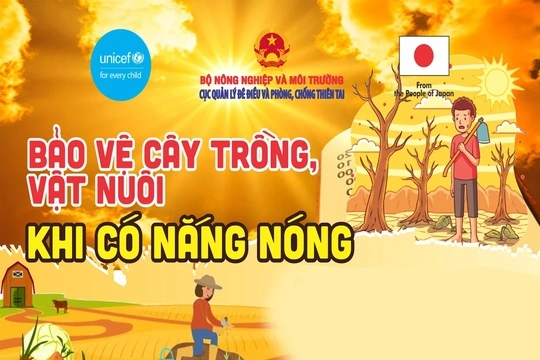 [Infographics] Bảo vệ cây trồng, vật nuôi khi có nắng nóng