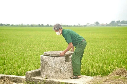 Từ bể chứa rác thải đến cánh đồng xanh, sạch