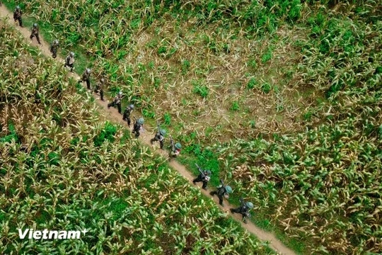 Dồn lực cho hành trình 500 ngày đêm xác định danh tính hài cốt liệt sĩ