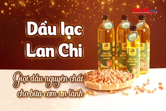 [REVIEW OCOP] Dầu lạc Lan Chi - Giọt dầu nguyên chất cho bữa cơm an lành