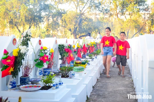 Tháng bảy ở Nghĩa trang Liệt sĩ Hàm Rồng: Nơi lòng biết ơn lắng lại