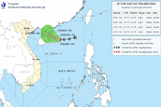 Áp thấp nhiệt đới gây gió mạnh trên biển, sóng cao đến 3,5m