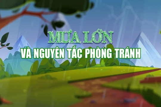 Mưa lớn và nguyên tắc phòng tránh