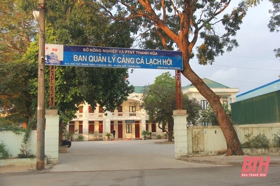 Cảng cá Lạch Hới nhộn nhịp ngày cận Tết  