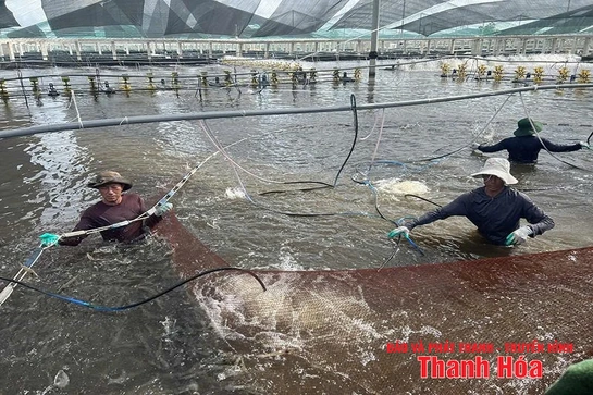 Khi công nghệ thành “bạn đồng hành”