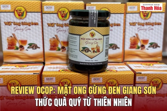 [REVIEW OCOP] Mật ong ngâm gừng đen Giang Sơn: Thức quà quý từ thiên nhiên