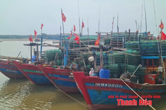 6.537 phương tiện tàu thuyền đã vào nơi tránh, trú an toàn