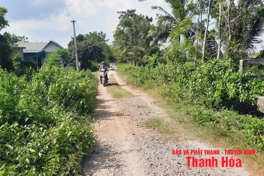 Thấp thỏm những tuyến đê xung yếu qua địa bàn xã Thắng Lợi