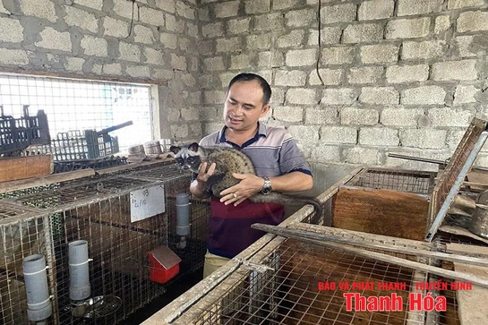 Mô hình con nuôi đặc sản đem lại hiệu quả kinh tế cao