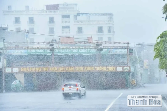 Ngày 31/8, khu vực Thanh Hóa có mưa rào và dông rải rác