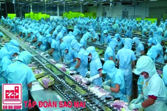Năm 2016, doanh thu của IDI cán mốc hơn 4.000 tỷ đồng