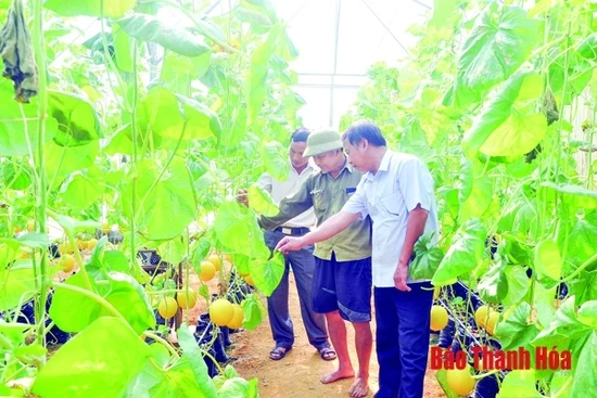 Nông dân làm giàu nhờ công nghệ 4.0