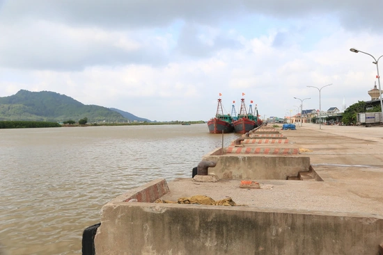 Cần phát huy lợi thế, đánh thức tiềm năng cảng cá Hòa Lộc