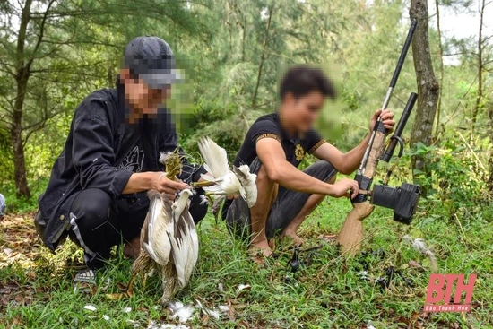 Thanh Hóa ngăn chặn tình trạng “tận diệt” chim trời