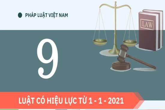 9 Luật có hiệu lực từ 1 - 1 - 2021