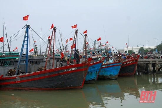 Thanh Hóa được bổ sung 36,520 tỷ đồng thực hiện một số chính sách phát triển thủy sản