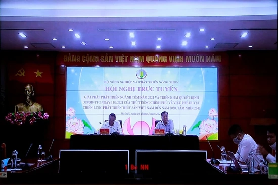 Thực hiện các giải pháp phát triển ngành tôm năm 2021