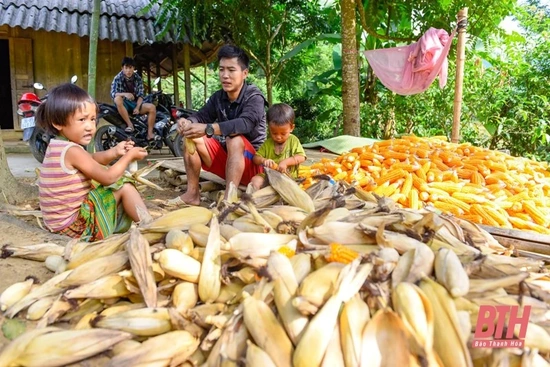 Nâng cao hiệu quả chính sách, pháp luật về phòng, chống xâm hại trẻ em dân tộc thiểu số