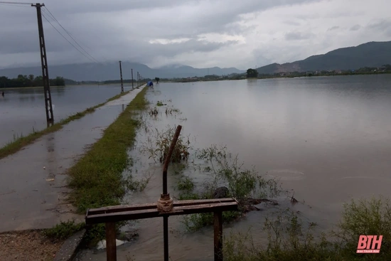 Hàng trăm ha lúa, rau màu ở huyện Nông Cống bị ảnh hưởng do mưa lớn