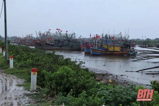 Các địa phương ven biển chủ động ứng phó với ảnh hưởng của áp thấp nhiệt đới