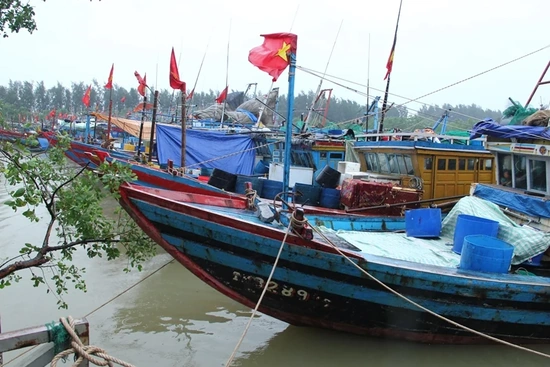 283 phương tiện đã vào trú ẩn an toàn tại Âu Tránh trú tàu thuyền Lạch Hới