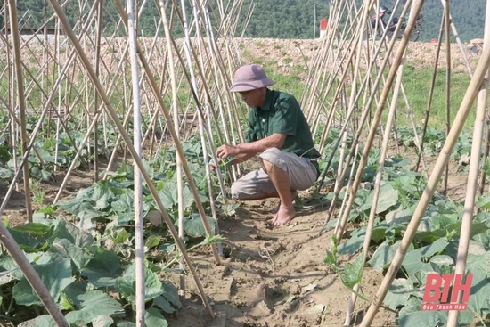 Nâng cao năng lực lãnh đạo của chi bộ nông thôn ở huyện Hoằng Hóa