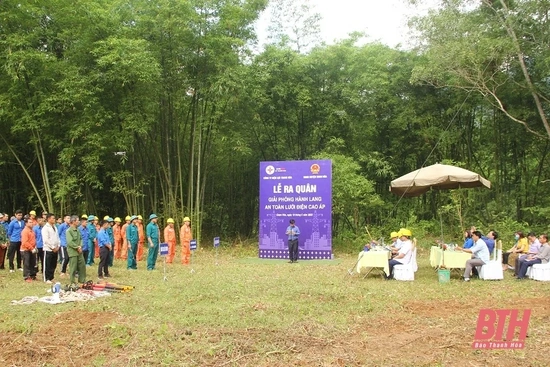 Công ty Điện lực Thanh Hóa ra quân giải phóng hành lang an toàn lưới điện