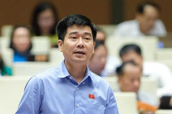 ĐBQH Lê Thanh Hoàn góp ý  vào việc thực hiện chính sách, pháp luật về công tác quy hoạch kể từ khi Luật Quy hoạch có hiệu lực thi hành