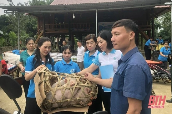Hỗ trợ giống vật nuôi cho phụ nữ nghèo xã Yên Khương
