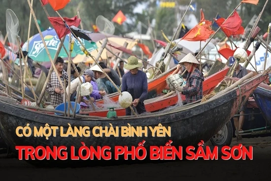Có một làng chài bình yên trong lòng phố biển