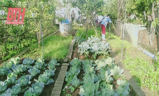 Mô hình bảo vệ môi trường góp phần thực hiện tiêu chí xây dựng nông thôn mới