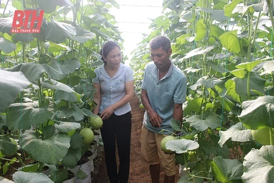 Chi hội trưởng nông dân năng động, sáng tạo