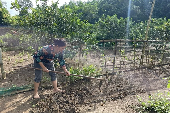 Phát huy vai trò của phụ nữ trong xây dựng gia đình