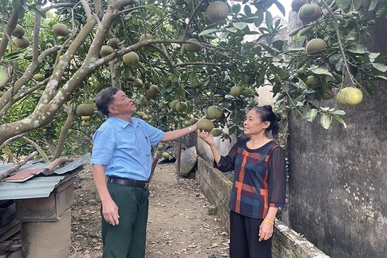 Xây dựng lối sống xanh: Việc làm nhỏ, ý nghĩa lớn