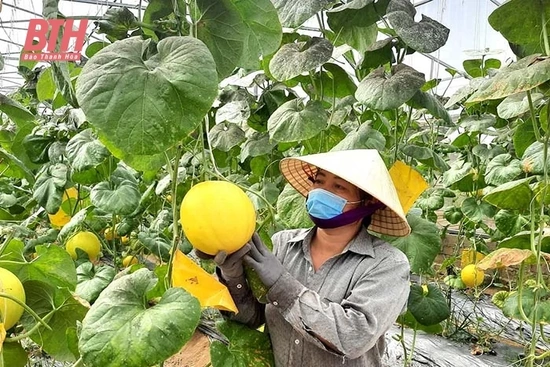 Ứng dụng công nghệ thông tin trong quản lý chuỗi cung ứng thực phẩm an toàn