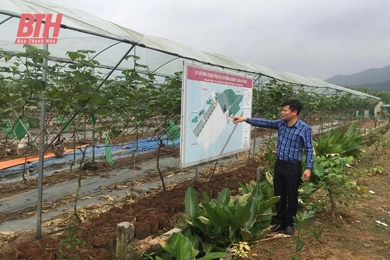 Xuân Du đẩy mạnh phát triển sản xuất, gắn với XDNTM