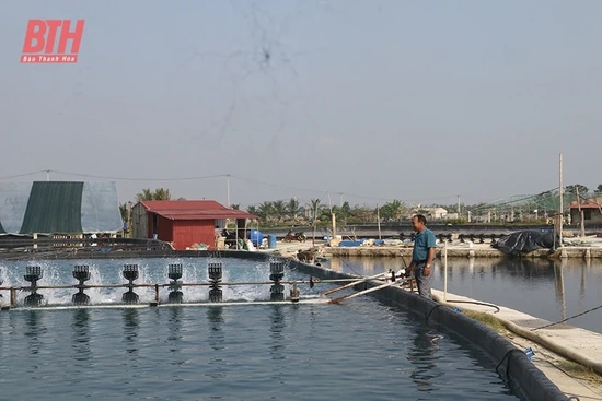 Gương sáng người cao tuổi làm kinh tế giỏi