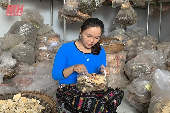 Y sĩ đông y Hoàng Thị Chon tận tâm với nghề