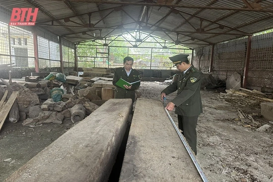 Đấu tranh chống vận chuyển, buôn bán lâm sản trái phép và PCCCR