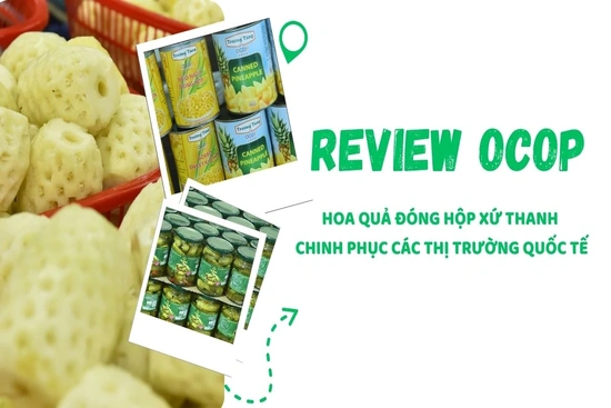 [REVIEW OCOP] Hoa quả đóng hộp xứ Thanh chinh phục thị trường quốc tế