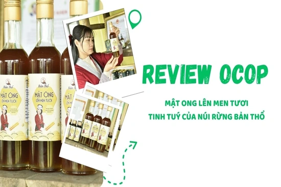 [REVIEW OCOP] Mật ong lên men tươi - Tinh tuý của núi rừng bản Thổ