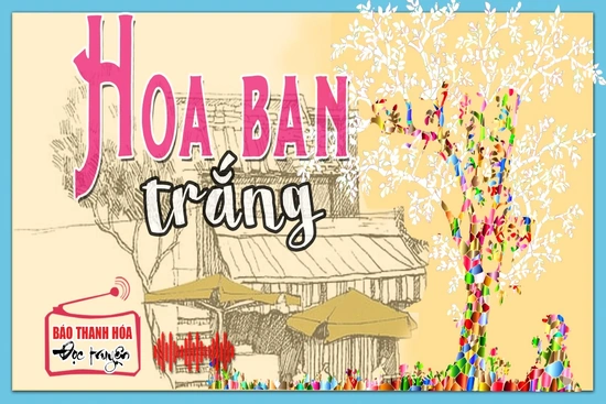 [Podcast] Truyện ngắn: Hoa ban trắng