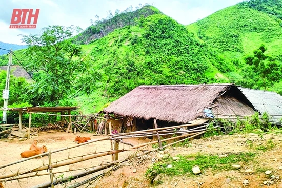 Vệt buồn phân ly