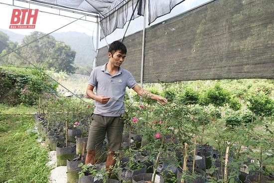 Khuyến khích, hỗ trợ nông dân áp dụng khoa học, kỹ thuật vào sản xuất
