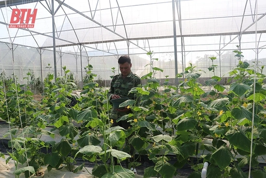 Nâng cao trình độ của người dân ở các vùng sản xuất VietGAP
