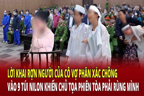 Lời khai của người vợ phân xác chồng vào 9 túi nilon