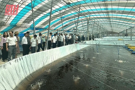 Ứng dụng khoa học - công nghệ trong sản xuất nông nghiệp tại Hoằng Hóa